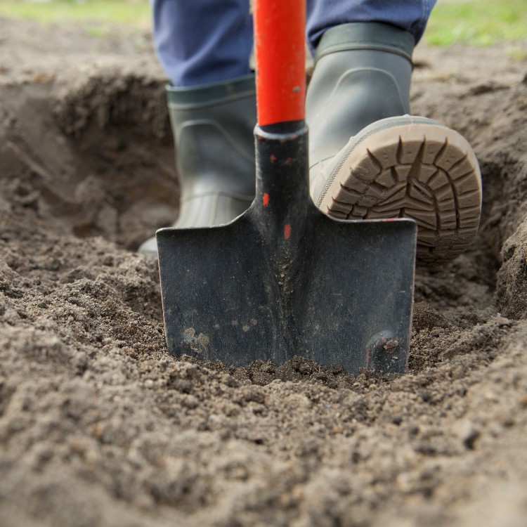 Landscaping in Clark Summit, PA