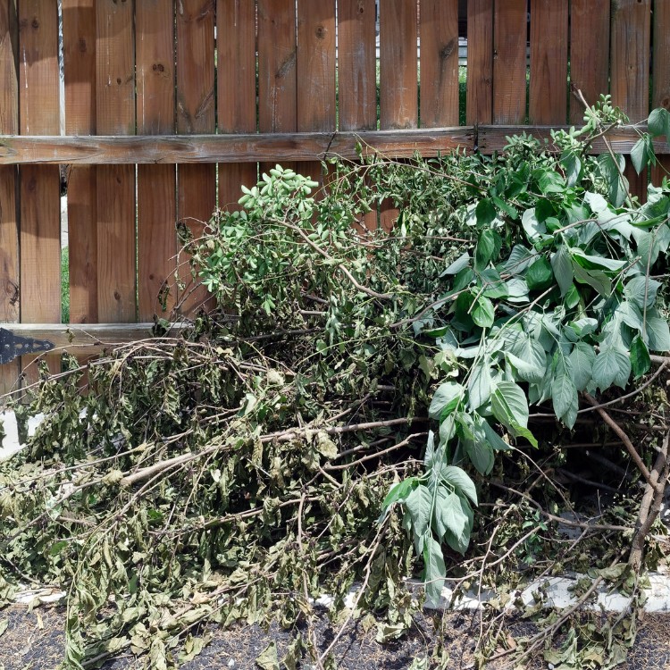 Landscaping in Clark Summit, PA