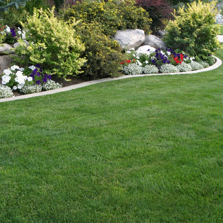 Landscaping in Clark Summit, PA